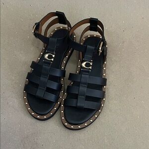 Coach Black Stud-Trim Gladiator Strappy Sandals with Gold C Buckle